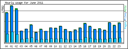 Hourly usage