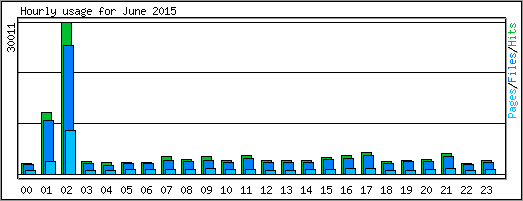 Hourly usage