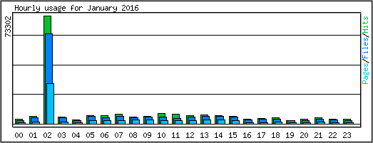 Hourly usage