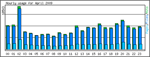 Hourly usage