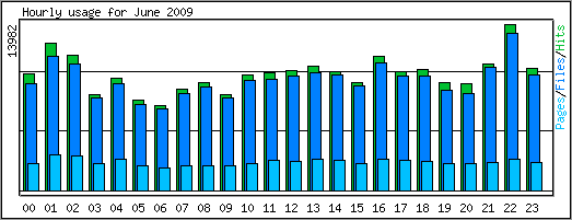 Hourly usage