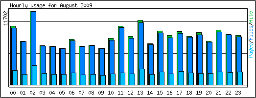 Hourly usage