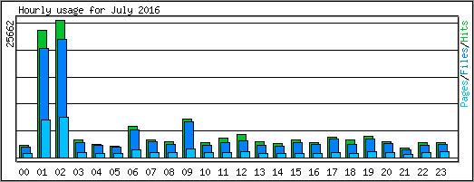 Hourly usage