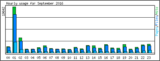 Hourly usage