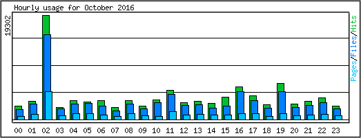 Hourly usage