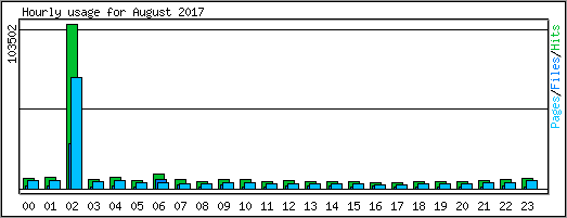 Hourly usage