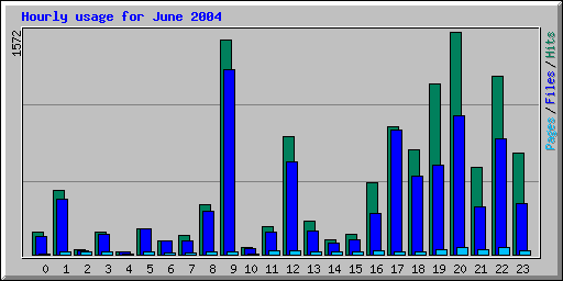 Hourly usage for June 2004