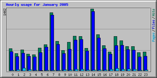 Hourly usage for January 2005